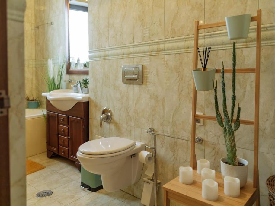 Apartmán Terrasse Des Plongeurs Bukurešť Exteriér fotografie